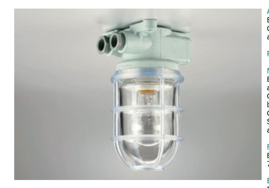 DAEYANG IP60-23BNCG Kafesli Lamba / Incandescent Pendant Light